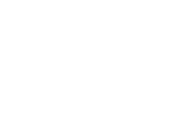 BSI